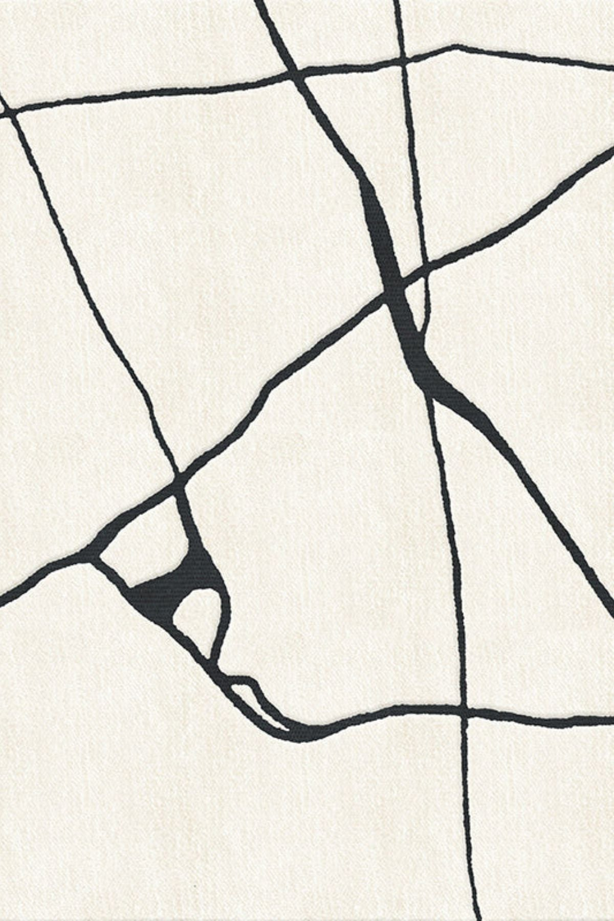 ABSTRACT RUGS